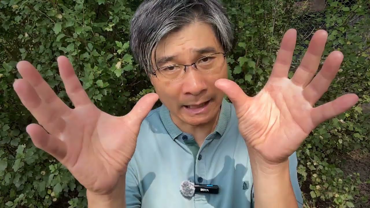 Geo-Strategy Update #5:   The Universal Law of Game Theory episode